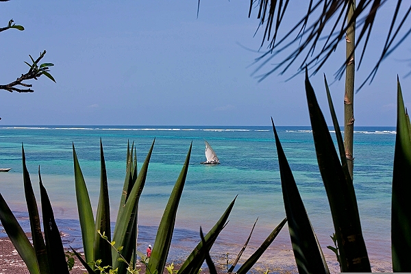 Destination Malindi (Kenya)