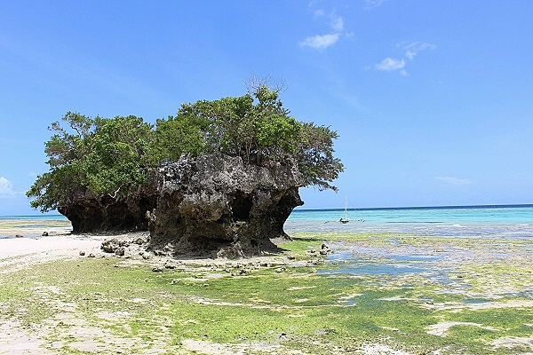 Destination Pemba Island (Tanzania)