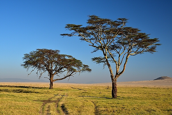 Destination South Sudan